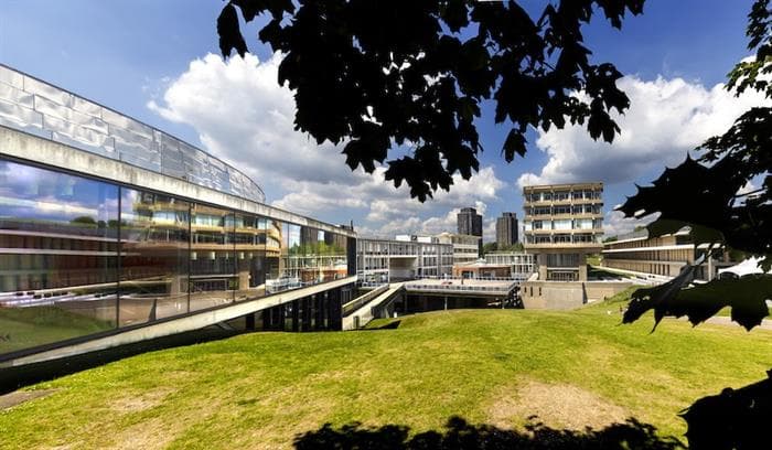 Essex University Admission Requirements
